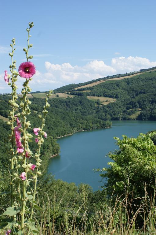 Les Hotes Du Lac, Chambres Et Tables D'Hotes Mandailles  Экстерьер фото